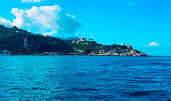 Campania felix MMXXV