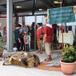 Ansbacher Römertag 2014 IMG_3988.JPG