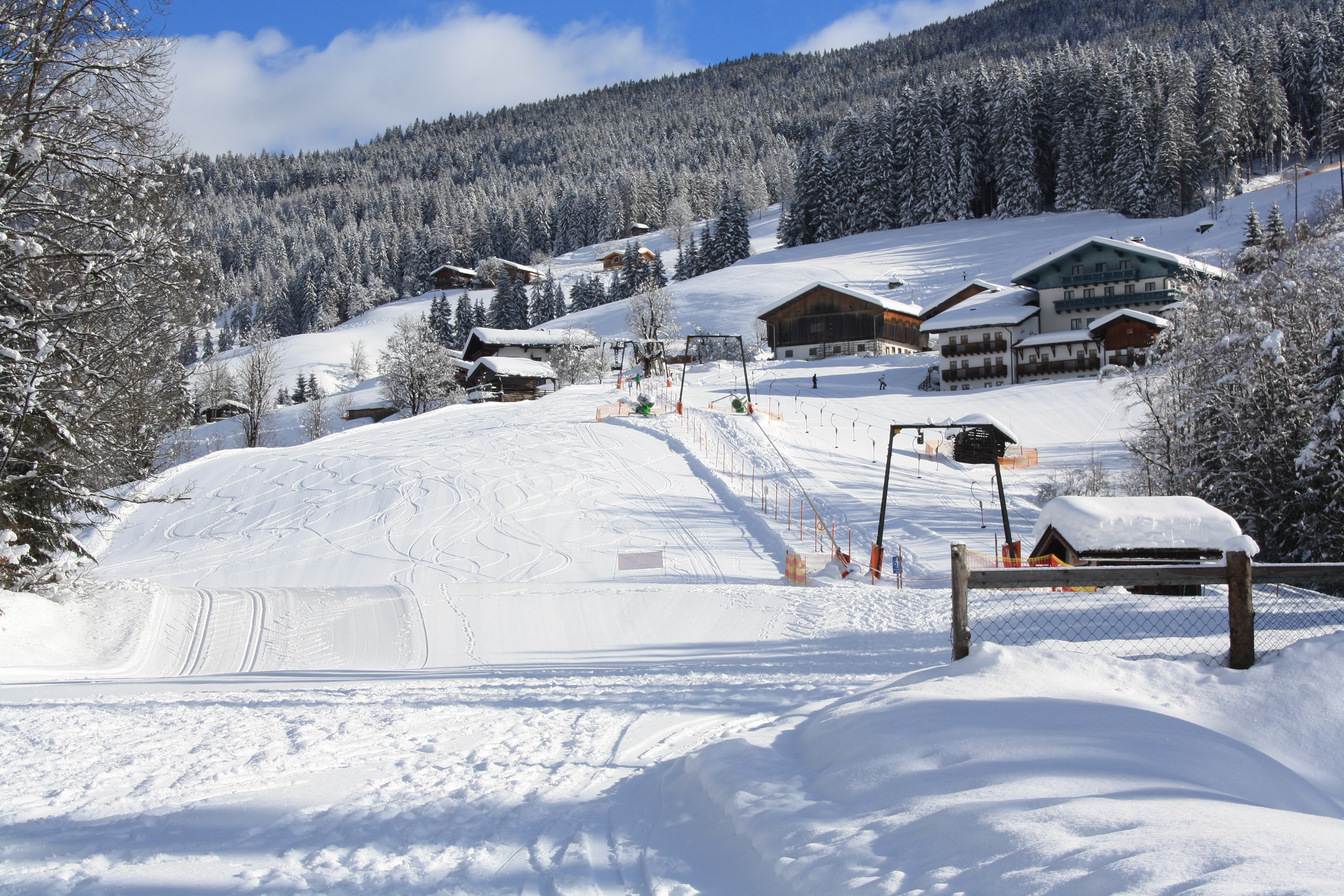 IMG_6404 Haushang.JPG