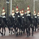 IMG_2745.JPG