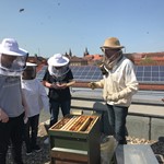 Da ist schon was los IMG_0659.JPG