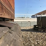 Flugbetrieb – Alle haben überlebt! IMG_0707.JPG