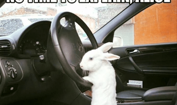 "Alice D" Schüleraufführung