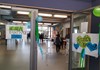 Das Platen-Gymnasium wird Fairtradeschool