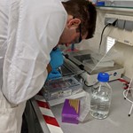 Beladen des Gels der Elektrophorese-Kammer mit den DNA-Proben MVIMG 20200218 140427G
