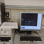 Das fertige Elektrophorese-Bild MVIMG 20200218 145055G