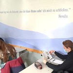 Mancher kann sie finden, die blaue Blume. Konzentriert im Deutschunterricht. Deutsch Galerie 3