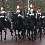 Landeskunde hautnah! Auf nach England! In der neunten Jahrgangsstufe findet unsere Fahrt nach England statt! Giddy Up!