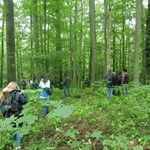 Waldtag Exkursion Waldtag