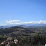 Landschaft bei Fermo IMG 1820