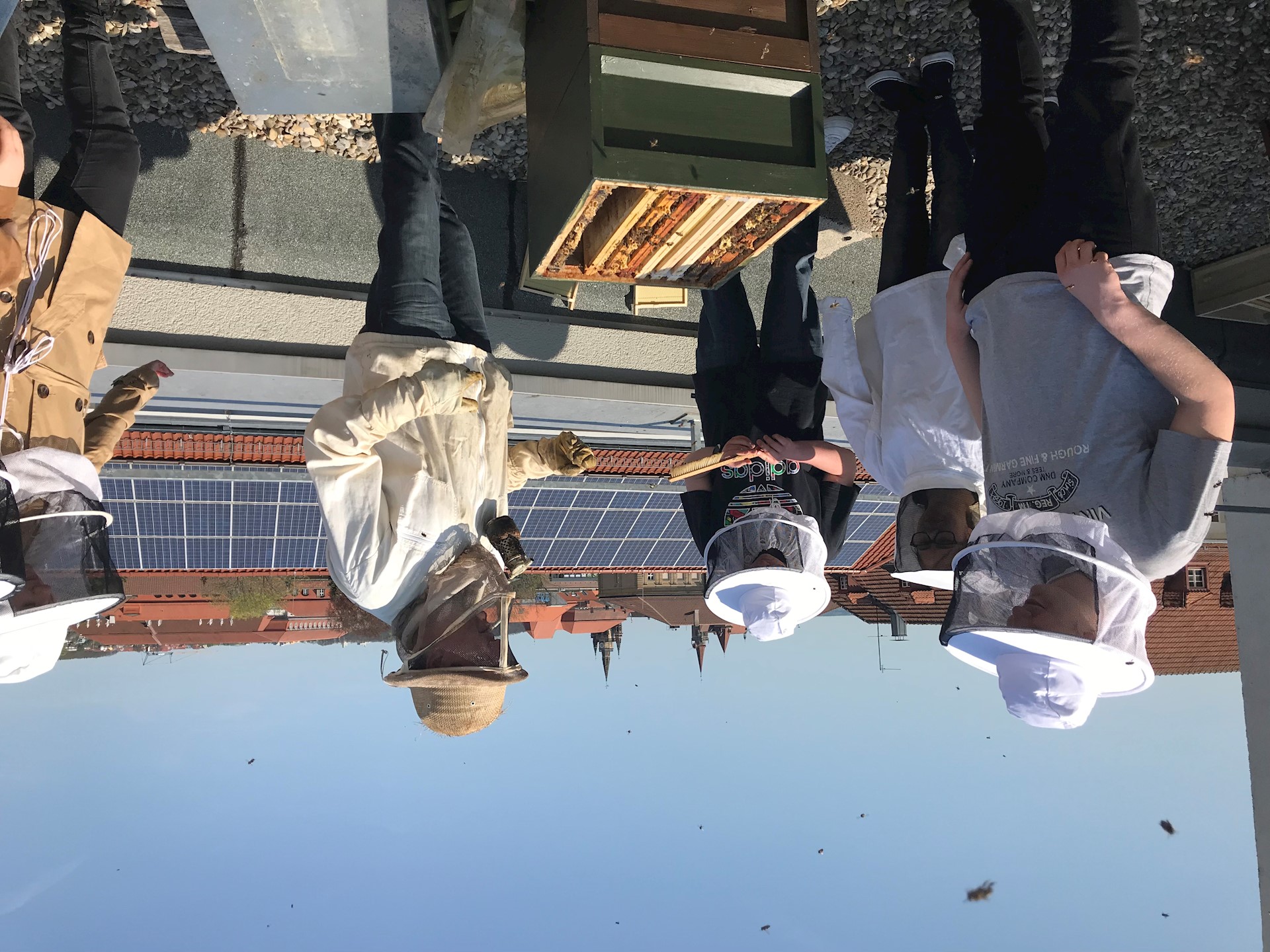 Schüler Und Bienen Bei Der Arbeit