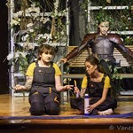 2024 07 10 126 Sommernachtsalbtraum