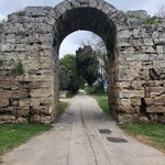 C 44 Paestum 1A